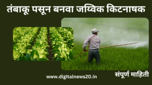 पौधांसाठी तंबाकूच्या डंठलापासून बनवा कीटनाशक, कीट-पटंगांपासून मिळवा आराम, सोपा आहे पद्धत!